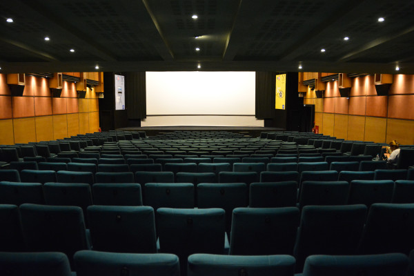 AIFF2015OpeningNights018
